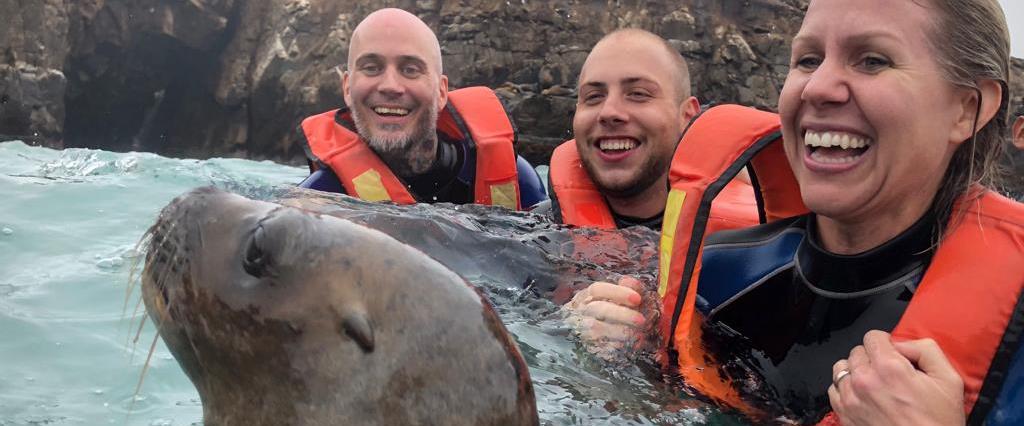 Live the experience, come to swim with sealions.